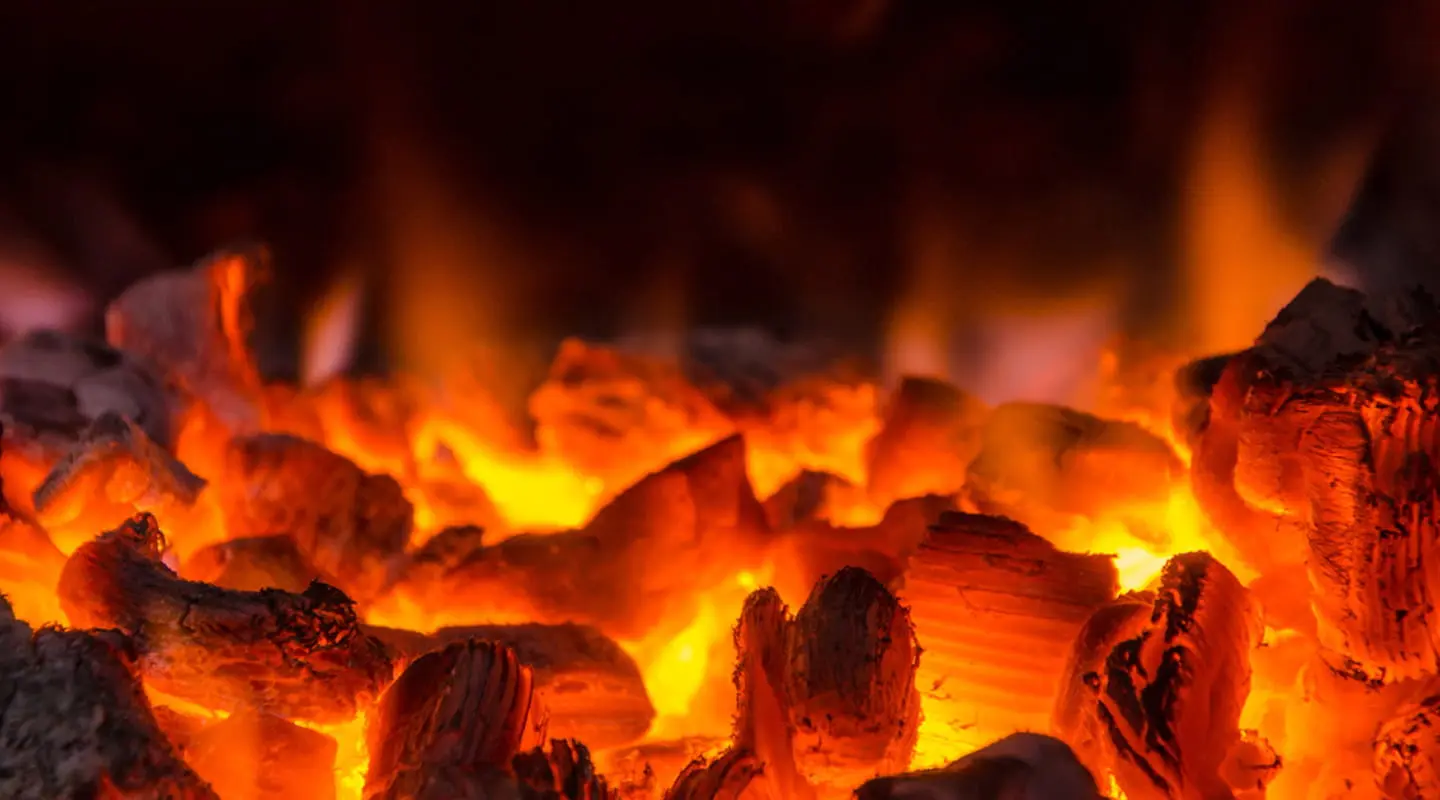elvatara wood charcoal