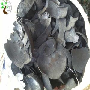 5 Amazing Uses of Coconut Shell Charcoal